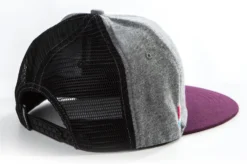 Pet Poederbaas Men Snapback Embleem Grijs Bordeauxrood -Schoenen Winkel CP01002 3