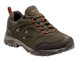 Wandelschoenen Men Regatta Holcombe IEP Low Bayleaf Burnt Umber