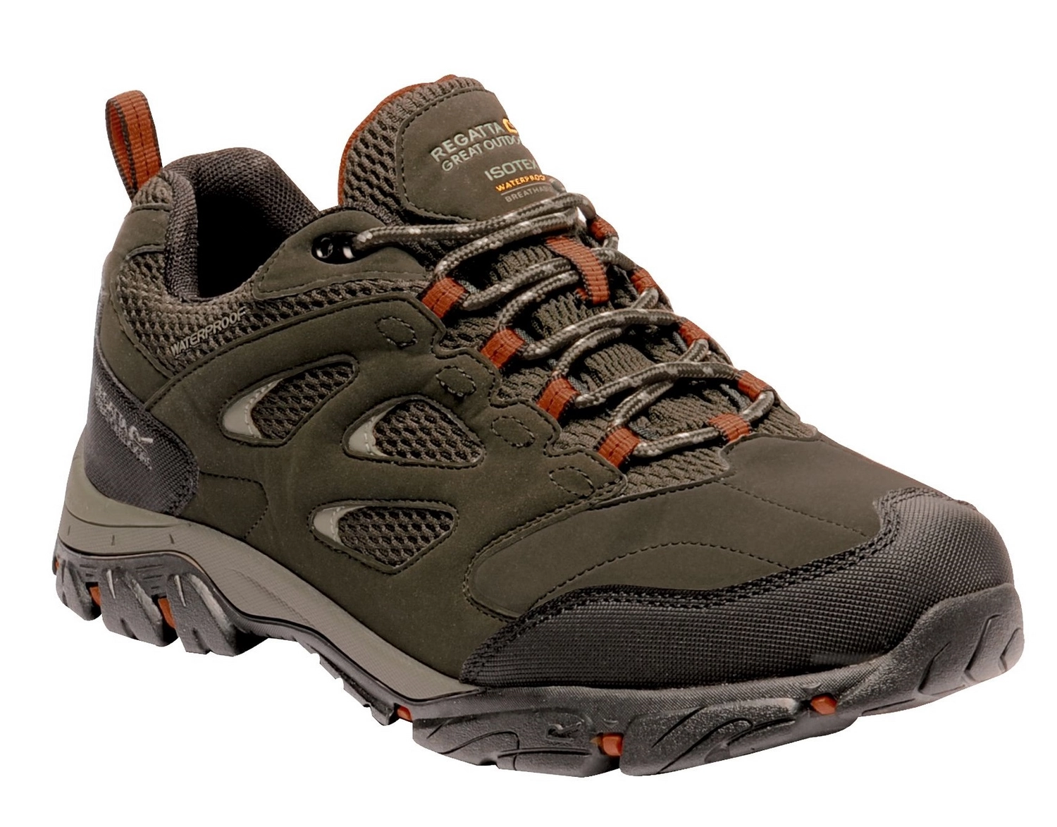 Wandelschoenen Men Regatta Holcombe IEP Low Bayleaf Burnt Umber 3 Wandelschoenen Men Regatta Holcombe IEP Low Bayleaf Burnt Umber